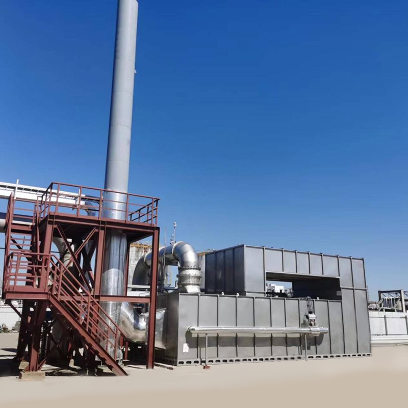 LQ-CO Catalytic combustion equipment